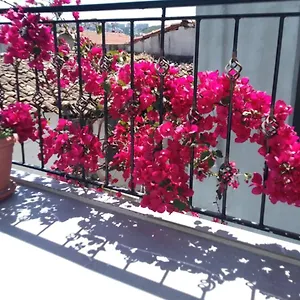 Hotell Casa Magnolia Boutique